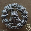 Rhodesia Fire Brigade cap badge img27194