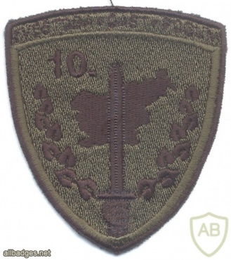 SLOVENIA Armed Forces 10th Mechanized Battalion sleeve patch, subdued img27200
