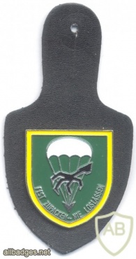 GERMANY Bundeswehr - 272nd Airborne Infantry Battalion pocket badge img27241