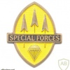 PHILIPPINES Special Forces qualification badge