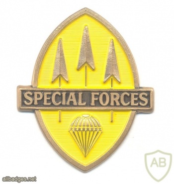 PHILIPPINES Special Forces qualification badge img27210