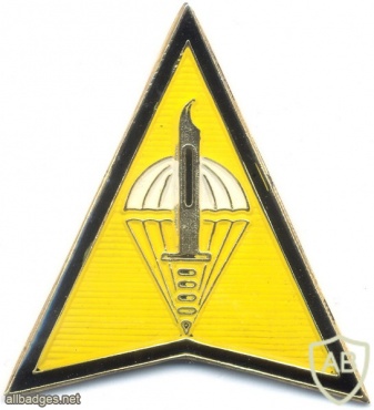 PHILIPPINES Special Forces Regiment (Airborne) badge img27209