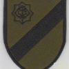 Latvian Army National Guard, color and subdued patches  img27246