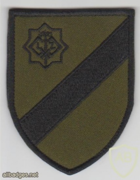 Latvian Army National Guard, color and subdued patches  img27246