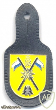 GERMANY Bundeswehr - 8th Reconnaissance Battalion pocket badge img27239