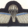 NETHERLANDS Airborne Parachutist B Brevet (Basic) wings, mess dress, bullion img27349