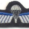 NETHERLANDS Army DT 2000 Parachutist B Brevet (Basic) wings, mess dress, full color img27347