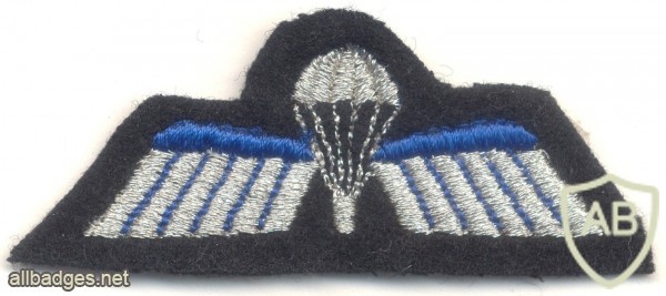 NETHERLANDS Army DT 2000 Parachutist B Brevet (Basic) wings, mess dress, full color img27347