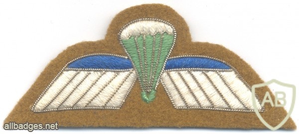 NETHERLANDS Airborne Parachutist B Brevet (Basic) wings, 1950s, metal thread img27351