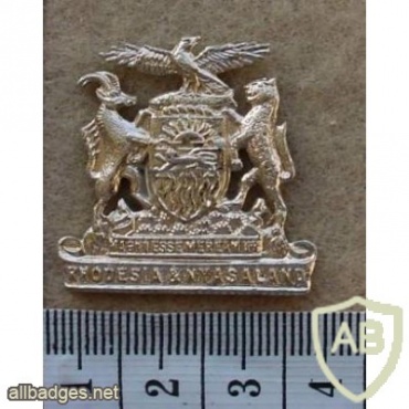 Rhodesia & Nyasaland Native Department cap badge img27363