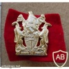 Rhodesia Native Department cap badge (Internal Affairs) img27361