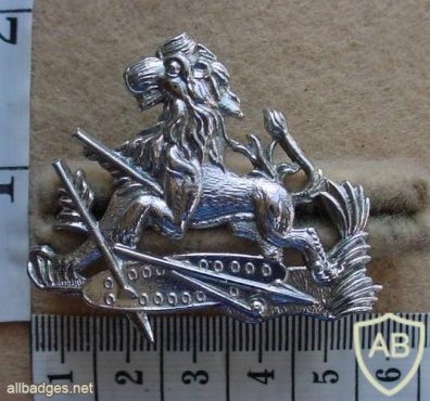 British South Africa Police Cadet and Women's helmet badge img27398