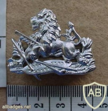 British South Africa Police Cadet and Women's cap badge img27396