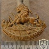 Rhodesian British South Africa Police helmet badge