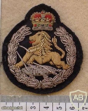 Rhodesian British South Africa Police Officers cap badge, Queens Crown img27388