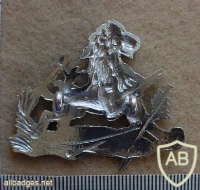 British South Africa Police Cadet and Women's helmet badge img27397