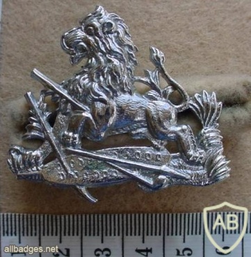 British South Africa Police Cadet and Women's helmet badge, type 2 img27399