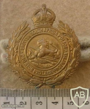 Rhodesian British South Africa Police cap and helmet badge img27392