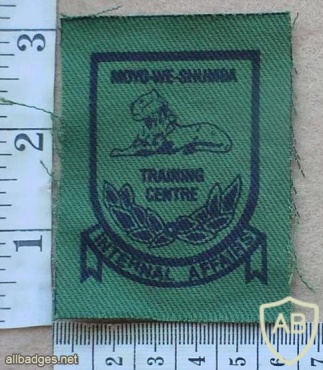 Rhodesian Internal Affairs Training Wing arm patch img27383