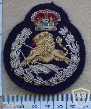 Rhodesian British South Africa Police Officers cap badge, Queens Crown img27389