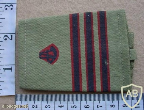 Rhodesian Internal Affairs Senior Vedette Officer rank img27371