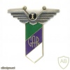 Old Estonian School Graduation Badge — GAG (Gustav Adolf Gymnasium), I issue