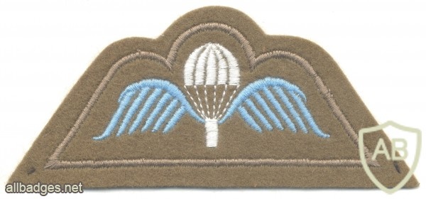 BELGIUM Parachute wings, full color on brown img27455
