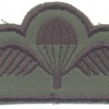 BELGIUM Parachute wings, subdued img27454