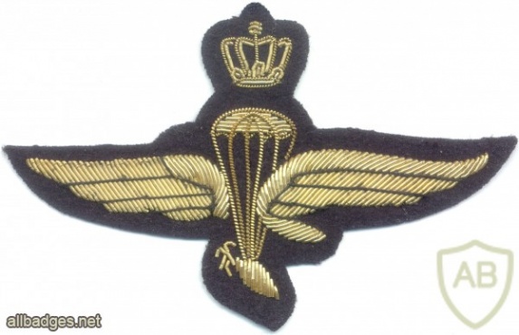 ITALY 1st National Libyan Parachute Battalion wings, bullion, WW2 img27457