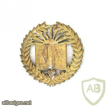 Old Estonian School Graduation Badge — BV, 1930s img27433