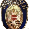 SERBIA Police Special Anti-Terrorist Unit (SAJ) badge