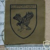 Rhodesian British South Africa Police Support Unit arm patch, 2nd pattern img27504