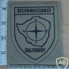 Rhodesian BSAP Salisbury Reconnaissance Unit arm patch img27508