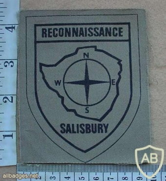 Rhodesian BSAP Salisbury Reconnaissance Unit arm patch img27508