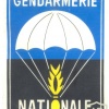 FRANCE National Gendarmerie Parachute Intervention Squadron (EPIGN) sleeve patch