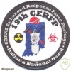 USA Indiana National Guard 19th CERFP sleeve patch