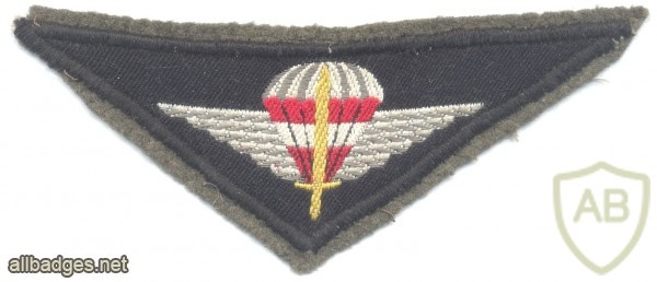 AUSTRIA Army (Bundesheer) - Jagdkommando Special Operations parachute wings, full color img27888