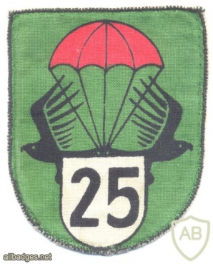 AUSTRIA Army (Bundesheer) - 25th Infantry Battalion parachutist sleeve patch, printed img27884