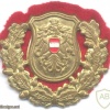 AUSTRIA Federal Police (Bundespolizei) cap badge, obsolete img27889