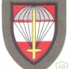 AUSTRIA Army (Bundesheer) - Sports and Close Combat School parachute patch, dress uniform img27885