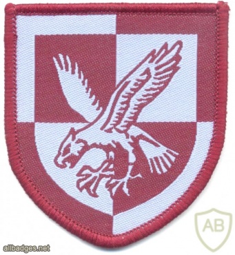 UK British Army 16 Air Assault Brigade sleeve patch, full color img27880