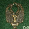 South Africa Army 5th Infanty battalion beret badge