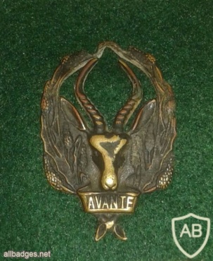 South Africa Army 5th Infanty battalion beret badge img27938