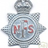 UK British WW2 National Fire Service (NFS) cap badge