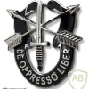 SPECIAL FORCES - general badge img28037