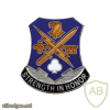 1st Brigade 101st Airborne Special Troop Battalion