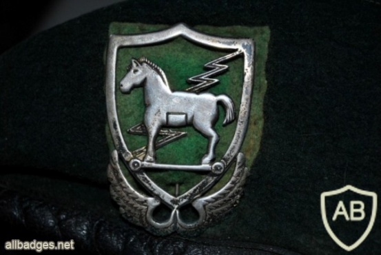 10th special forces group img28072