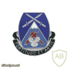 3rd Brigade 10th Mountain Special Troops Battalion