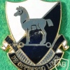 10th special forces group