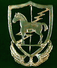 10th special forces group img28073